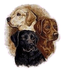 Tennessee Lab Rescue